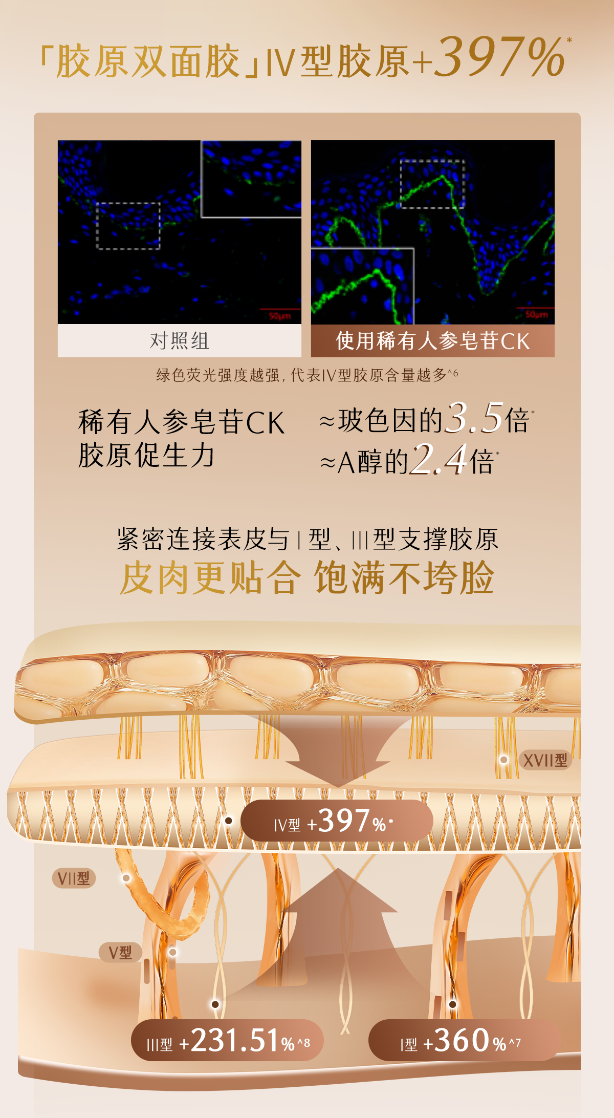 GUYU Elixir Ginseng Collagen Moisturising Cream 30g